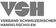 Logo Verband Schweizerischer Handelschulen